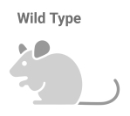 Treg-Graphics-small