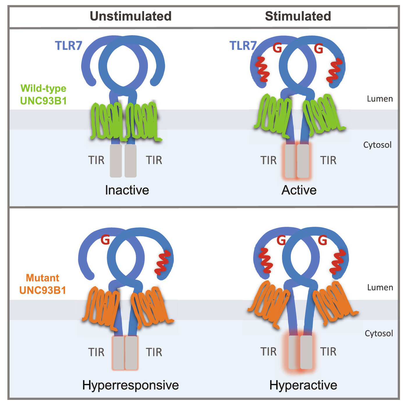 sciimmunol.adi9769_Figure-4F